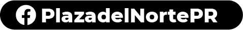 wordpress-20