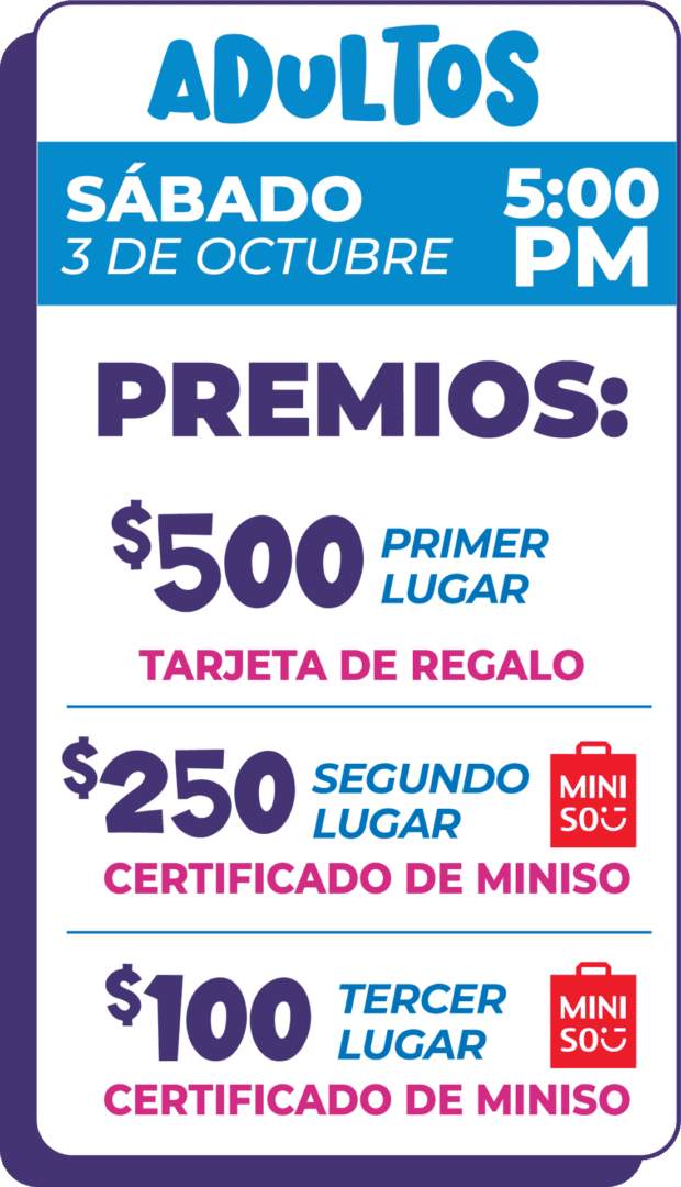 Wordpress2026-Rio-50